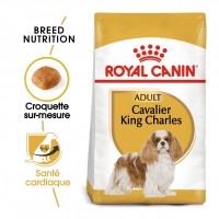 Croquettes pour chien - Royal Canin Cavalier King Charles Adult - Croquettes pour chien Cavalier King Charles