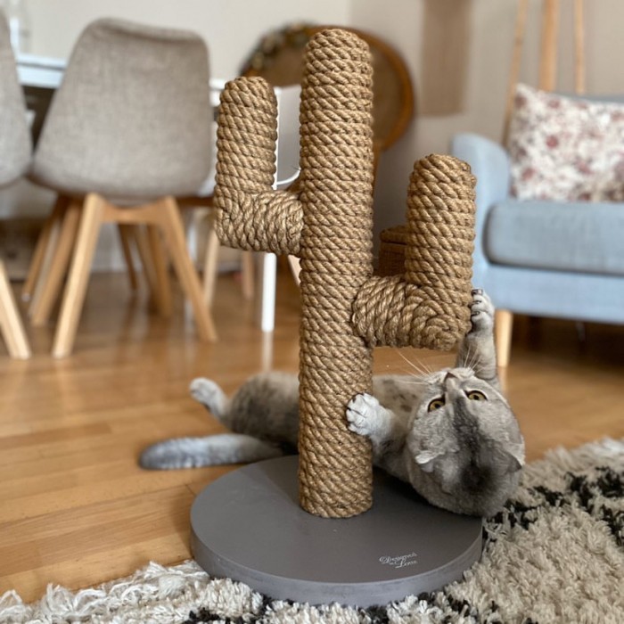 Griffoir Cactus : Griffoir pour chat - Wanimo