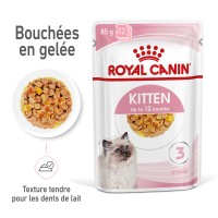 Sachet fraîcheur pour chaton - Royal Canin Kitten en Gelée - Pâtée pour chaton Royal Canin