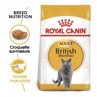Croquettes pour chat - Royal Canin British Shorthair Adult British Shorthair 