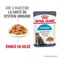 Pâtée en sachet pour chat - ROYAL CANIN Urinary Care en Gelée – Pâtée pour chat 