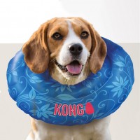 Collerette de convalescence pour chien - Collerette Cushion KONG