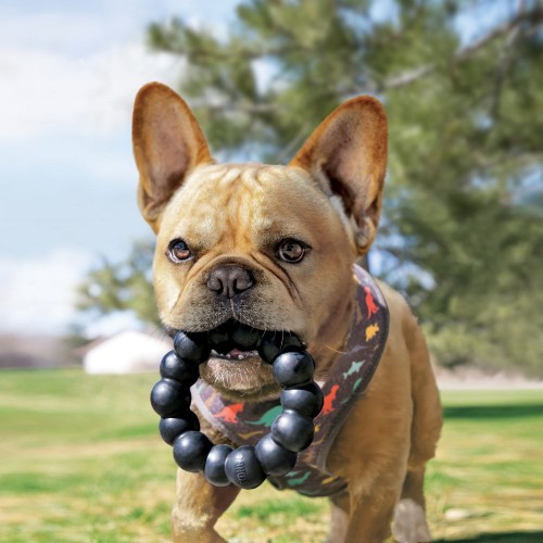 Jouet à mâcher Ring Extreme : Jouet à mâcher pour chien - Wanimo