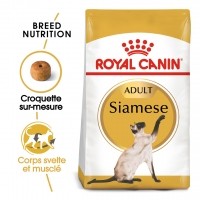 Croquettes pour chat - Royal Canin Siamois Adult Siamese