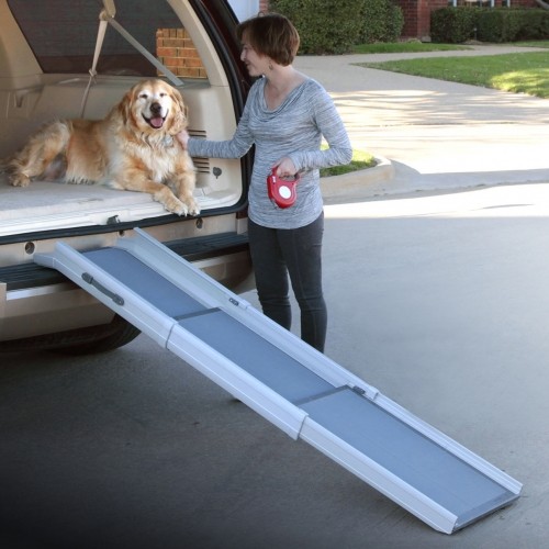 Rampe téléscopique 3 parties : Accessoire de voiture pour chien
