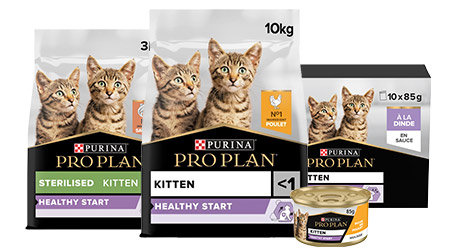 Croquettes chat PRO PLAN Veterinary Diets UR St/Ox Urinary 